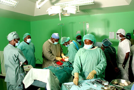 Faculty of Clinical Sciences