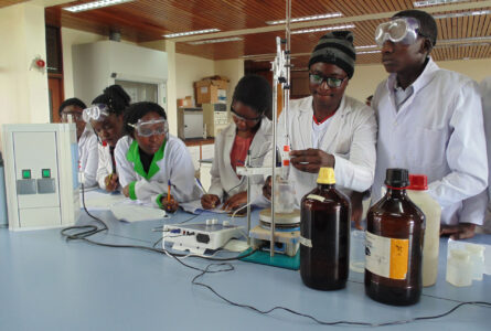 faculty of sciences